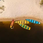 gestão pública-modelos de gestão pública- public ocean