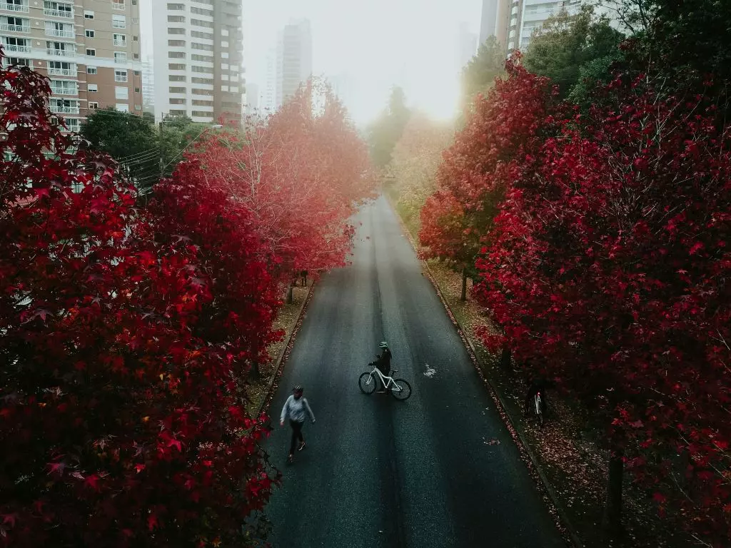 gestão pública - modelos de gestão